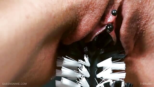 لاس وگاس- سکس عروس